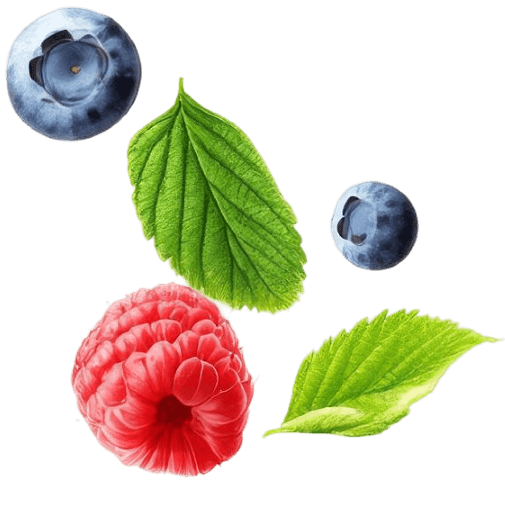 Milla Drinkable Yogurt Berry 270 ml